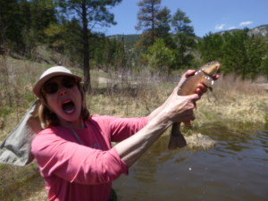 Attacked by deadly prehistoric native longnose suckers!