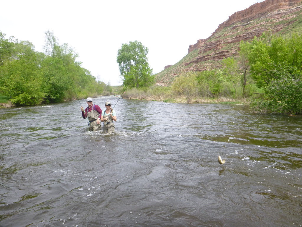 Fish Catching Action!