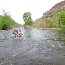 Fish Catching Action!