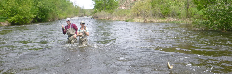 5/27 Memorialable Day at Waterdale Ranch