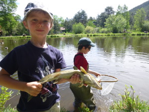 One in Hand, One in the Net