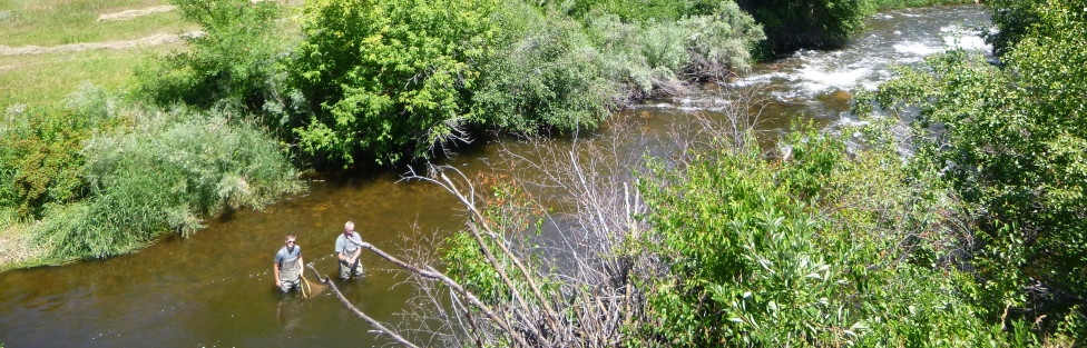 Lower Waterdale Ranch, Troutman and Trevor 7/17