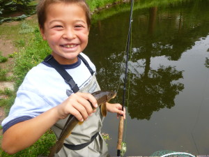 This is a Longnose Sucker, the only True Native fish in the pond