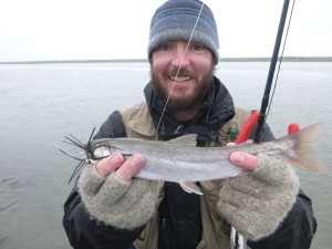 Dolly Varden Trout